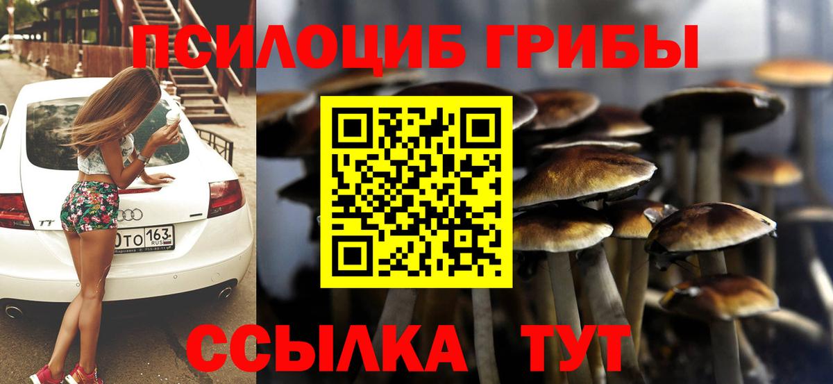 Калач-на-Дону  что такое   Вход с VPN  Псилоцибиновые грибы MAGIC MUSHROOMS  Галлюциногенные грибы Psilocybe 